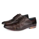 Savelli Formal Series | Casual Premium Laced Natural Leather Coffee Shoes