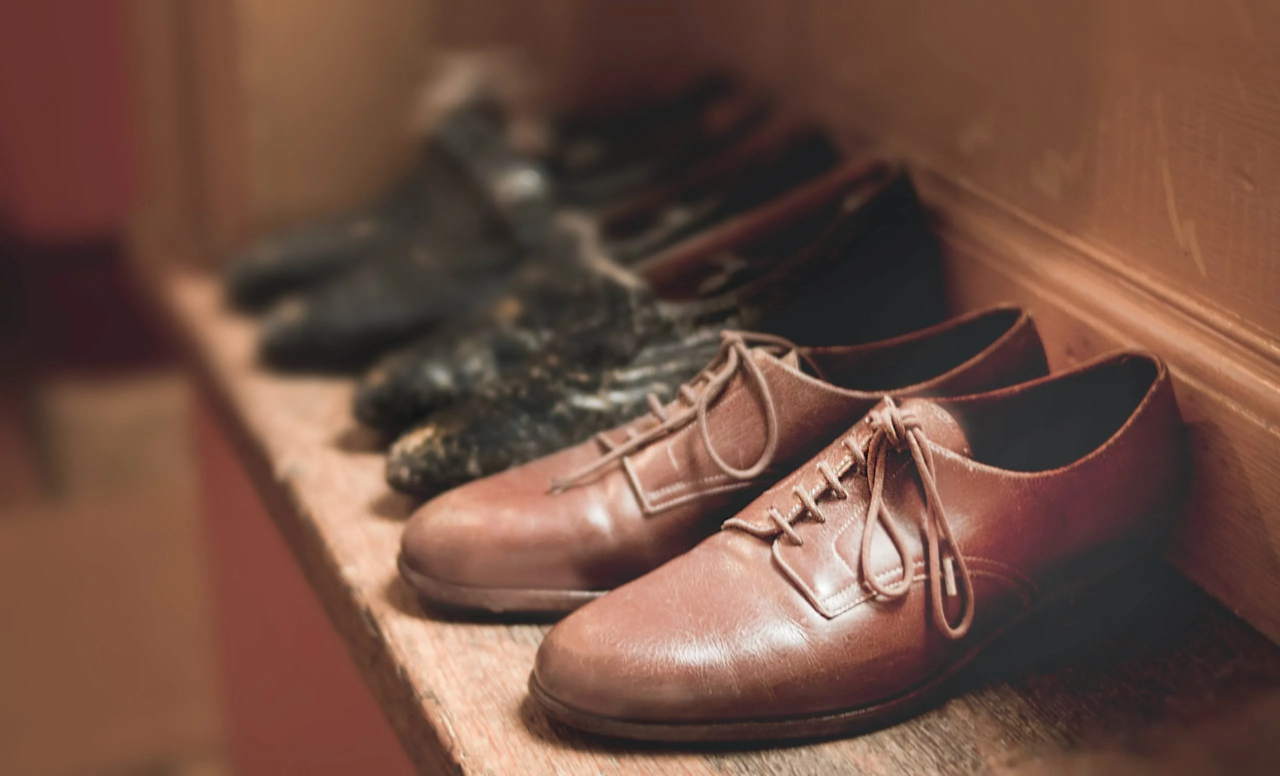Parts of a Shoe