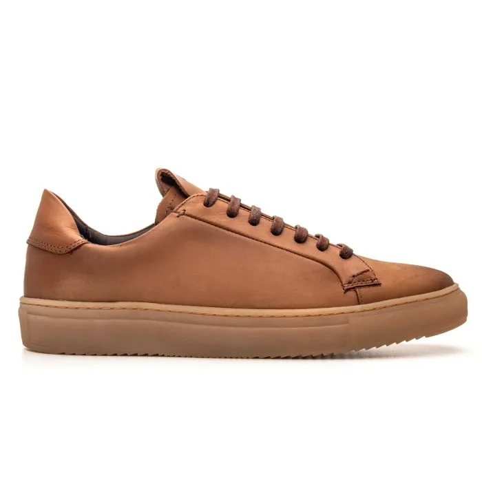 Savelli Casual Series | Florence Veneza Havana Low Cut Trainers - Image 3